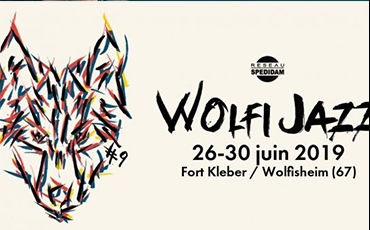Logo WOlfi